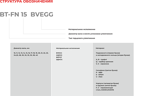 Торцевое уплотнение BT-FN 40 QQVGG в Ростове-на-Дону фото